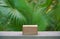 Empty wood podium concrete table texture in tropical outdoor nature garden forest green plant golden sunlight jungle background