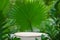 Empty wood podium concrete table texture in tropical outdoor nature garden forest green plant golden sunlight jungle background