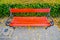 Empty wooden bench in autumn park