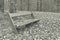 Empty wooden bench in autumn public park