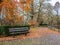 Empty wooden bench among the golden leaves in Maastricht town park on a winter`s day