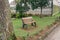 An empty wooden bench sits amidst a lush, leafy park