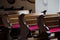 Empty wooden benches in Catholic Church