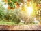 Empty wooden board or table top and blurred orange orchard. Place your product display