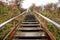 Empty wooden boardwalk after the rain amongst fall foliage