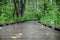 Empty wooden boardwalk trail path winding through the wooded forest park on a rainy Autumn morning