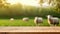 The empty wooden brown table top with blur background of sheep pasture. Exuberant.