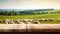 The empty wooden brown table top with blur background of sheep pasture. Exuberant.