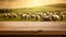 The empty wooden brown table top with blur background of sheep pasture. Exuberant.