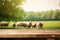 The empty wooden brown table top with blur background of sheep pasture. Exuberant.