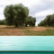 Empty wooden deck table with summer landscape with olive trees background. Ready for product display montage.