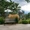 Empty wooden park bench for meditation