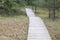 Empty wooden path