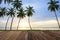 Empty wooden pier on Sea coast, Coconut palms on tropical beach