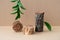 Empty wooden podium, saw cut, piece of wood with bark, leaf and green branch on beige background. Natural cosmetic