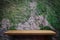 Empty wooden shelf with moss cement surface