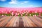 Empty wooden surface in field with blossoming tulips on sunny day, AI Generated