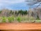 Empty wooden table with blurred background of early spring lanscape. Can be used for display or montage product