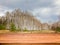 Empty wooden table with blurred background of early spring lanscape. Can be used for display or montage product