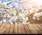 Empty wooden table with blurred blossoming tree on background