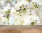 Empty wooden table with blurred blossoming tree on background