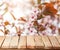 Empty wooden table with blurred blossoming tree on background