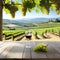 An empty wooden table for product blurred french vineyard in the
