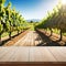 An empty wooden table for product Blurred french vineyard in the