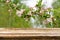 Empty wooden table with spring background of blossoming wild apple tree