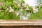 Empty wooden table with spring background of blossoming wild apple tree