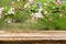 Empty wooden table with spring background of blossoming wild apple tree. Mock up for products display or montage