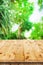 Empty wooden table in a sun drenched summer garden