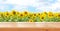 Empty wooden table on sunflower field background. Ready for product montage. Mockup. Banner.Copy space