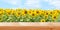 Empty wooden table on sunflower field background. Ready for product montage. Mockup. Banner.Copy space