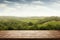 Empty wooden table top, vineyard view out of open window