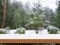 empty wooden tabletop podium in garden open forest