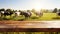 Empty wooden tabletop with a serene backdrop of cows grazing on a lush meadow pasture