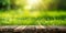 Empty wooden tabletop with sunlit green grass and soft bokeh lights in the background