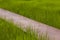 Empty wooden terrace with green lawn