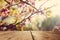 Empty wooden vintage table board over spring blossom bokeh background