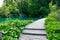 Empty wooden walkway runs past colorful emerald ponds in middle of lush woods.