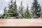 Empty woooden table top with blurred spruce trees on the background.