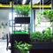 Empty workplaces in modern office with plants