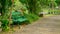 Emty wooden steel bench in public garden beside walkway and tropical flowering plant umder greenery trees