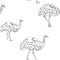 Emu birds seamless texture