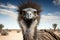 Emu striking victorious pose. Generative AI
