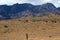 Emus seen on the Moralana Scenic Drive, Flinders` Ranges, SA, Australia