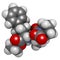 Enalapril high blood pressure drug molecule. Angiotensin Converting Enzyme (ACE) inhibitor used in treatment of hypertension