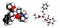 Enalapril high blood pressure drug molecule. Angiotensin Converting Enzyme (ACE) inhibitor used in treatment of hypertension