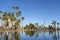 Encanto Park Lake, Phoenix downtown, AZ